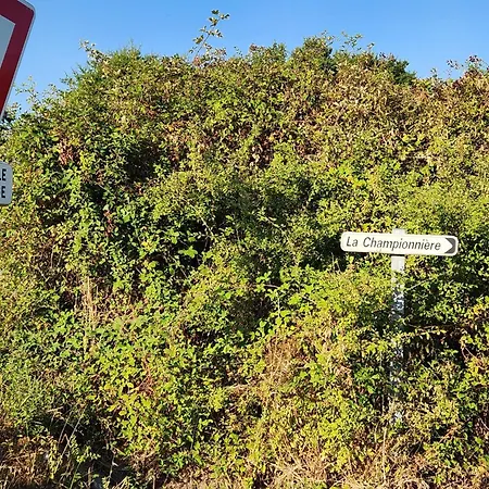 Privatif Nature Proche Nantes T3 Сasa de vacaciones Pont-Saint-Martin